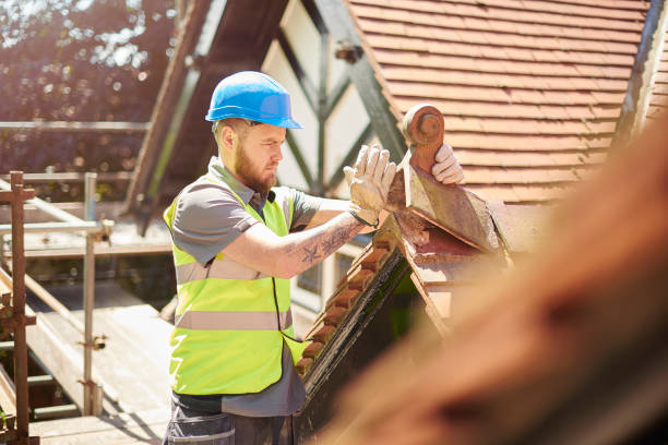 Best Roof Gutter Cleaning  in Lely Resort, FL