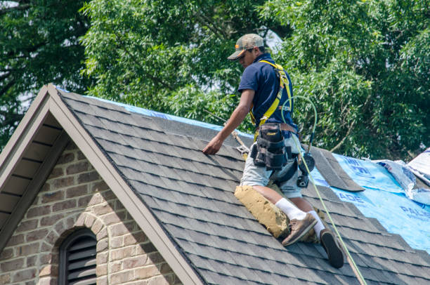 Quick and Trustworthy Emergency Roof Repair Services in Lely Resort, FL